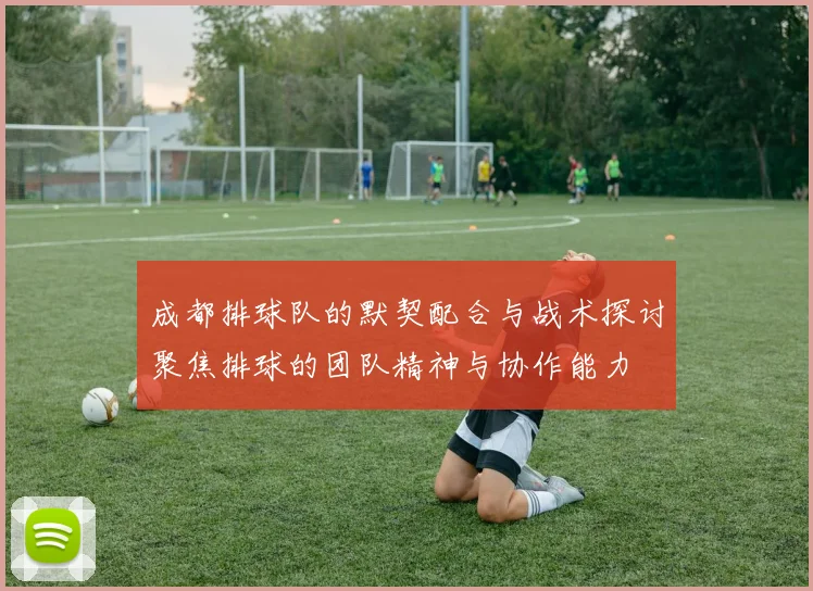 成都排球队的默契配合与战术探讨聚焦排球的团队精神与协作能力