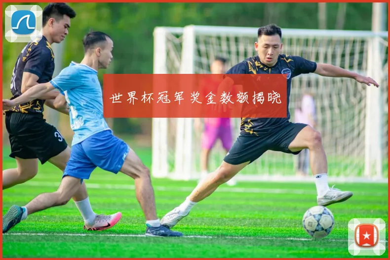 世界杯冠军奖金数额揭晓