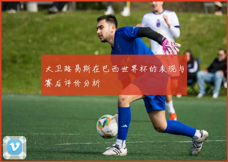 大卫路易斯在巴西世界杯的表现与赛后评价分析