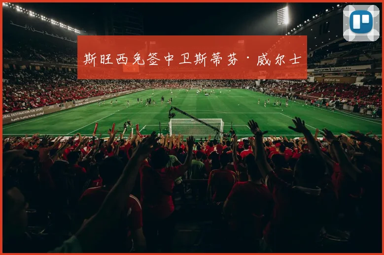 斯旺西免签中卫斯蒂芬·威尔士