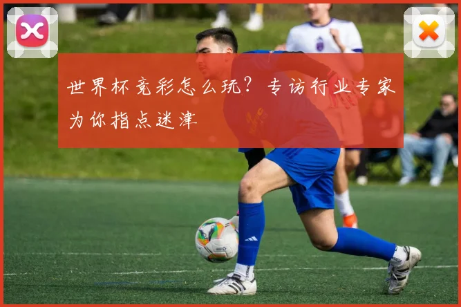世界杯竞彩怎么玩？专访行业专家为你指点迷津