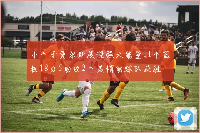 小个子费尔斯展现强大能量11个篮板18分5助攻2个盖帽助球队获胜