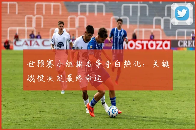 世预赛小组排名争夺白热化，关键战役决定最终命运