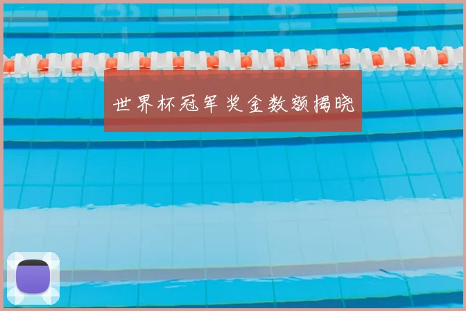 世界杯冠军奖金数额揭晓