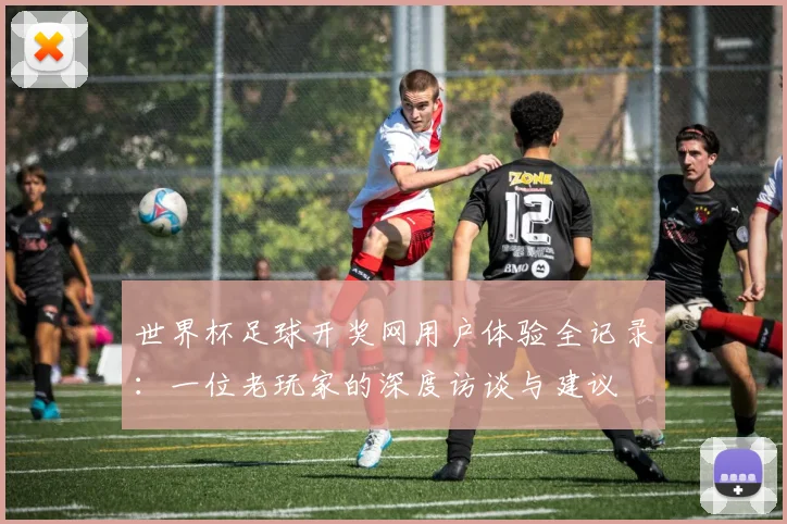 世界杯足球开奖网用户体验全记录:一位老玩家的深度访谈与建议