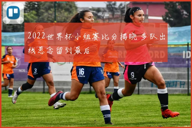 2022世界杯小组赛比分揭晓 多队出线悬念留到最后