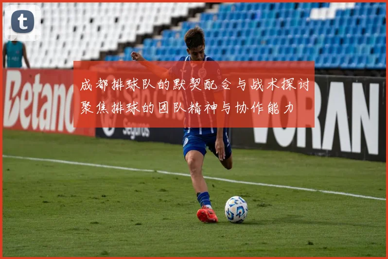 成都排球队的默契配合与战术探讨聚焦排球的团队精神与协作能力