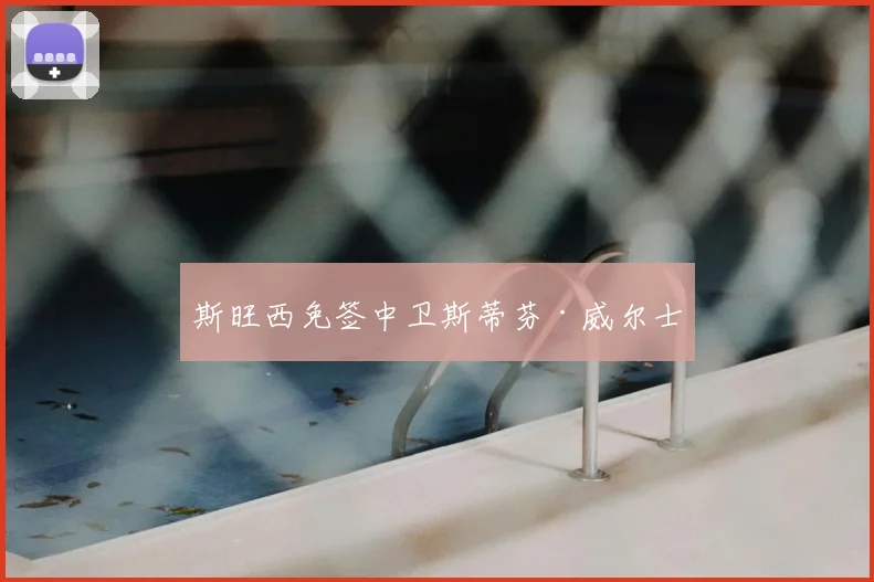 斯旺西免签中卫斯蒂芬·威尔士