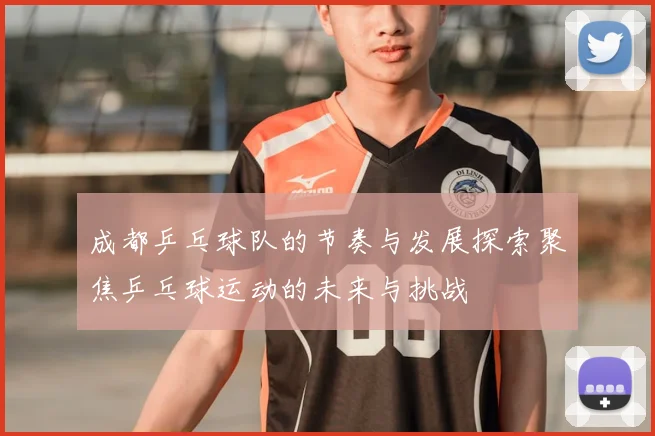 成都乒乓球队的节奏与发展探索聚焦乒乓球运动的未来与挑战
