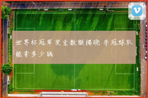 世界杯冠军奖金数额揭晓 夺冠球队能拿多少钱
