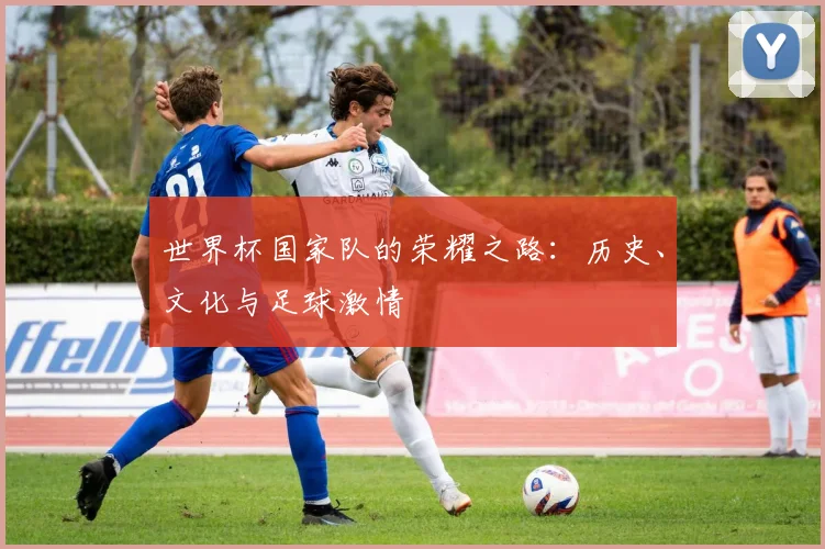 世界杯国家队的荣耀之路：历史、文化与足球激情
