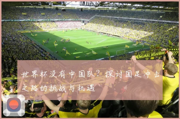 世界杯没有中国队？探讨国足冲击之路的挑战与机遇